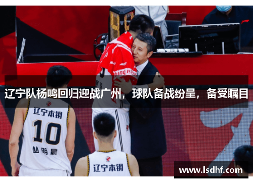 辽宁队杨鸣回归迎战广州，球队备战纷呈，备受瞩目