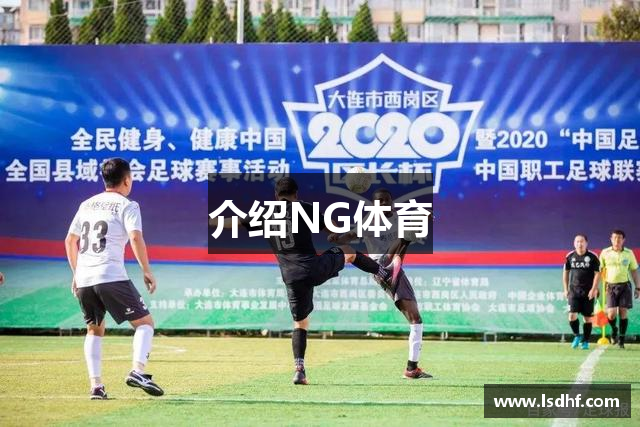 介绍NG体育